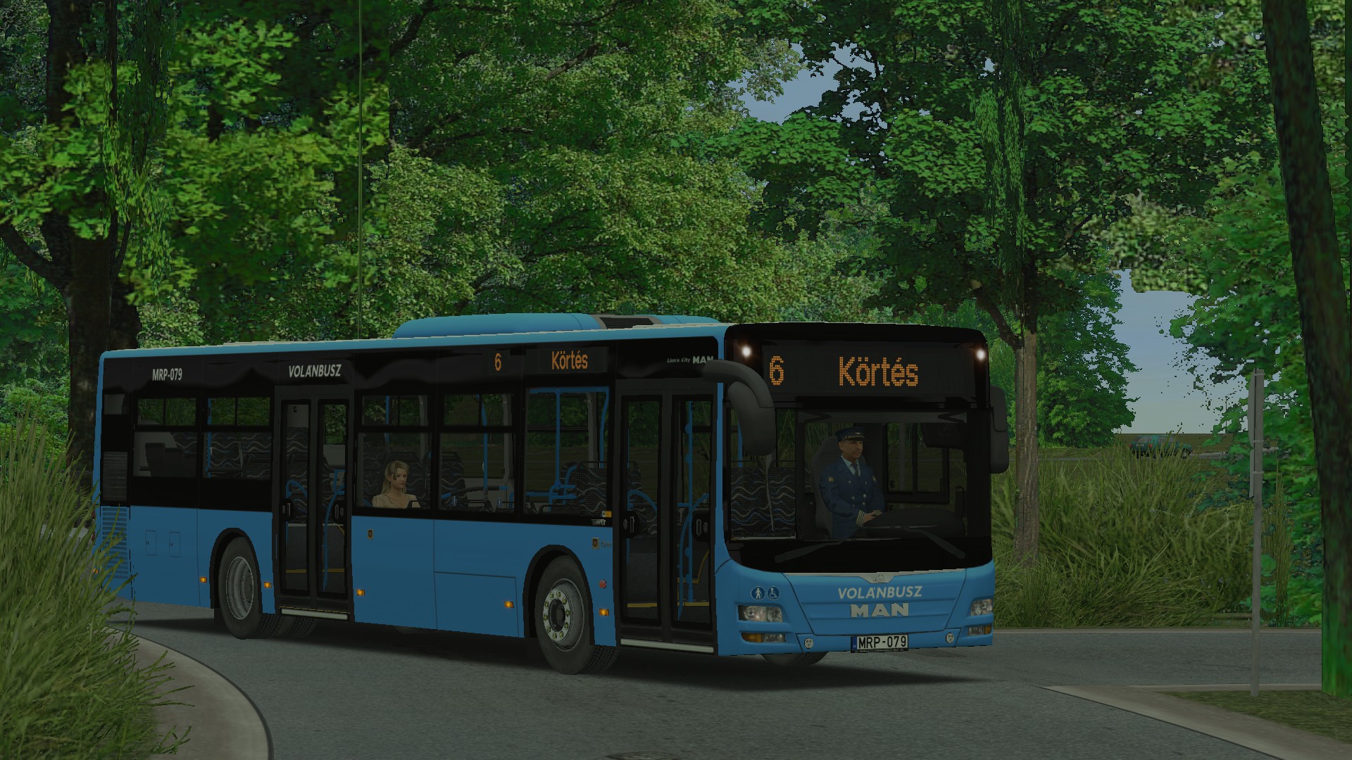 Egyéb Volánbusz festések